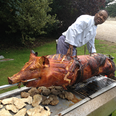 Spitting Pig
