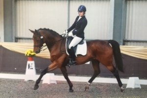 Position Perfect Equestrian