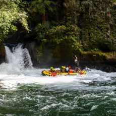Kaituna Cascades